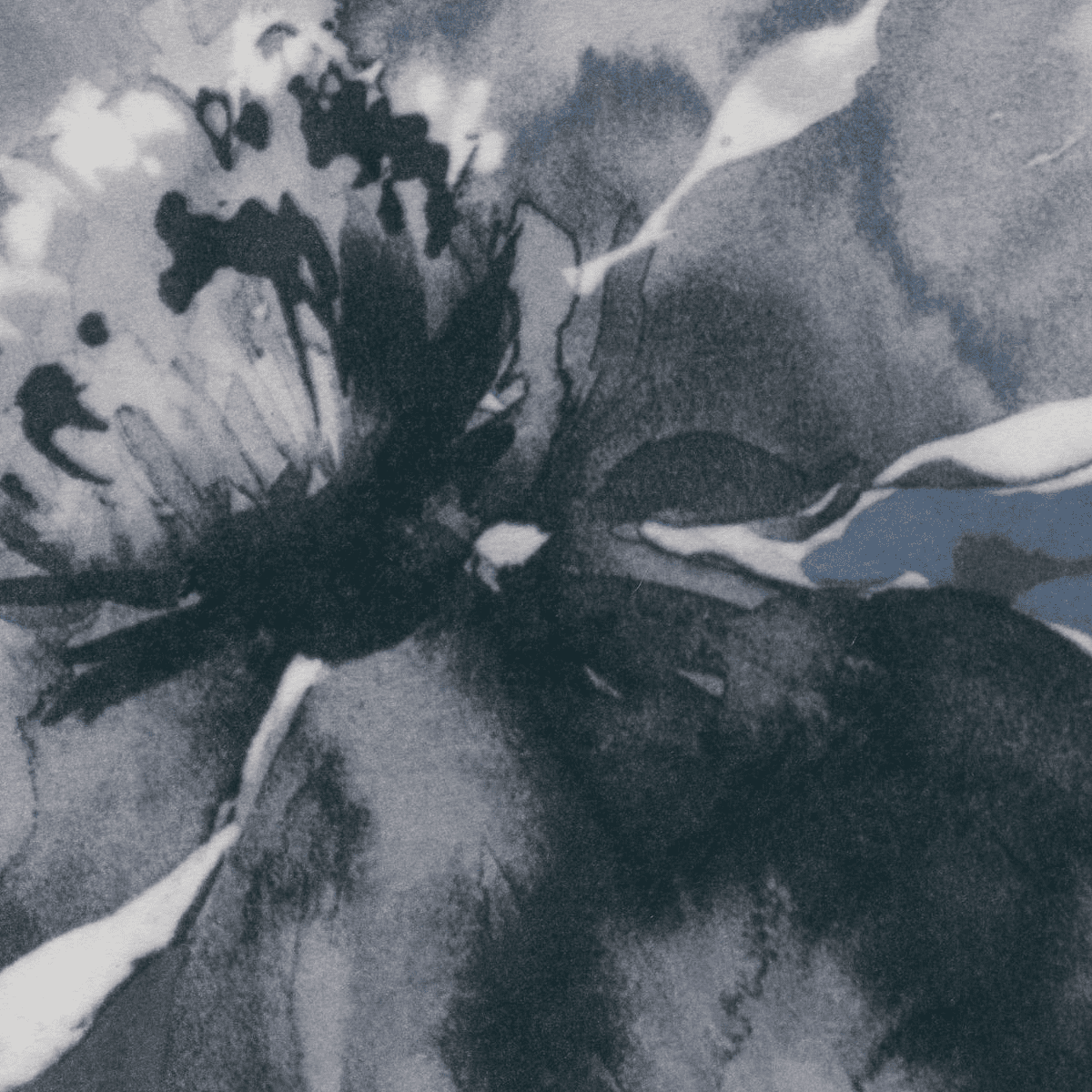 jolie blue colored material curtain