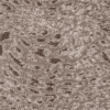 fiume beige print curtain